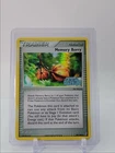 Memory Berry