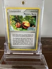 Memory Berry