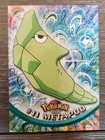 Metapod