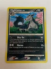 Mightyena