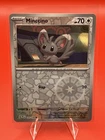 Minccino