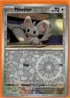 Minccino
