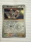 Minccino