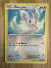 Minccino
