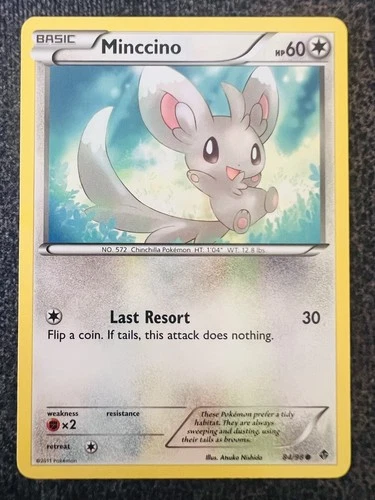 Minccino