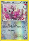 Minccino