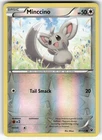 Minccino