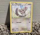 Minccino