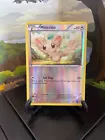 Minccino