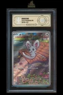 Minccino