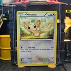 Minccino