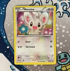 Minccino
