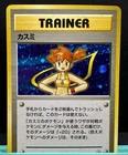 Misty's Determination