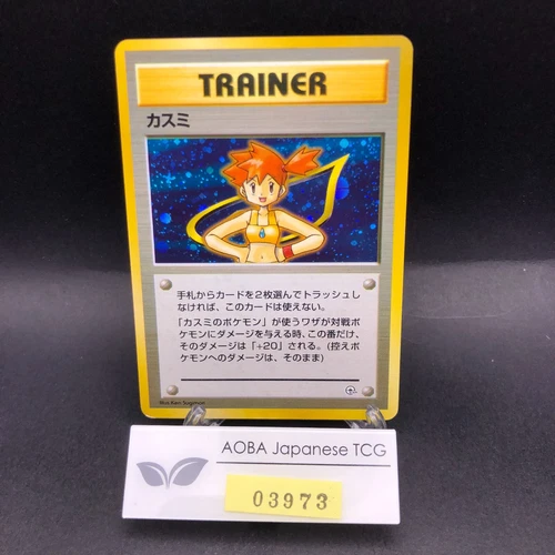 Misty's Determination