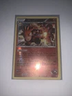 Team Magma's Camerupt