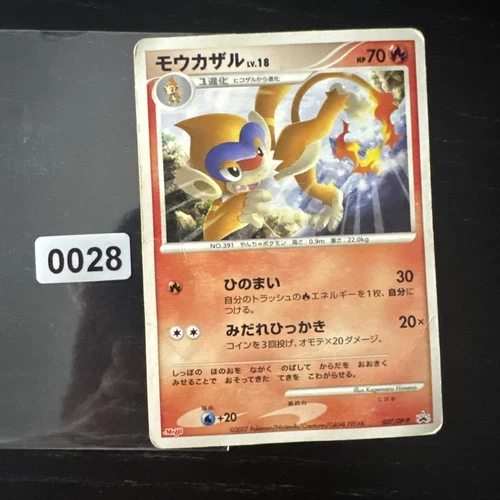 Dragonite FB 
