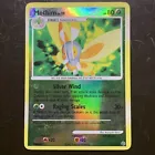 Mothim