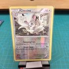 Cinccino