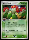 Bellossom