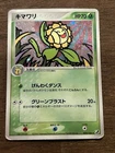 Sunflora