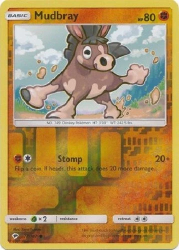 Mudbray