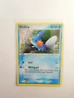 Mudkip