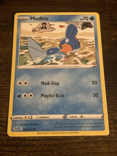 Mudkip