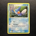 Mudkip