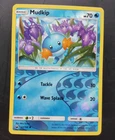 Mudkip