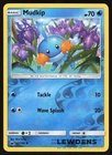Mudkip