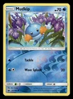Mudkip