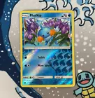 Mudkip