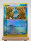 Mudkip