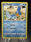 Mudkip