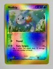 Mudkip