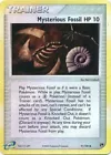 Mysterious Fossil