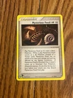 Mysterious Fossil