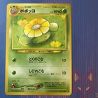 Skiploom