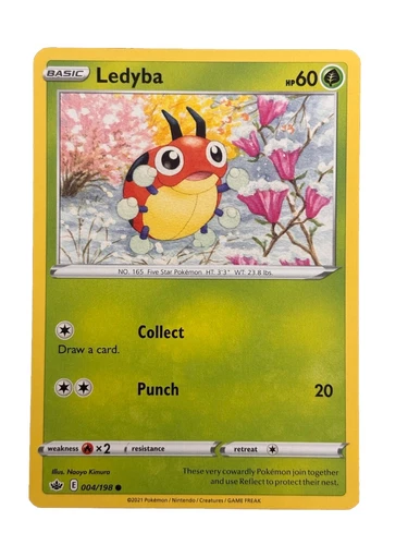 Ledyba