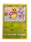 Ledyba