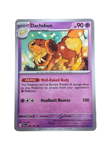 Dachsbun