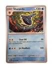 Sharpedo