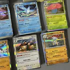 Pokemon Catcher