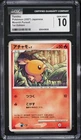 Torchic