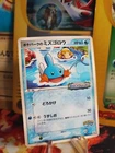Mudkip