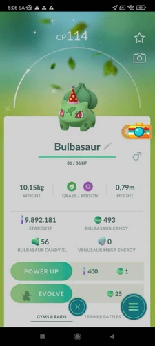 Rapidash