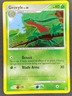 Grovyle