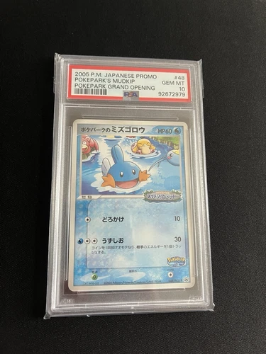 Mudkip