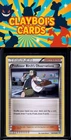 Professor Birch's Observations