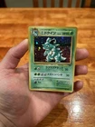 Ditto
